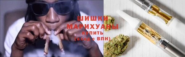 стаф Бородино