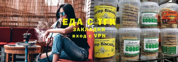 стаф Бородино