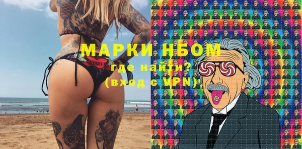 стаф Бородино