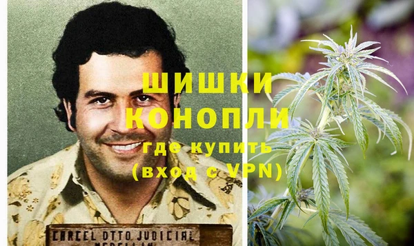 стаф Бородино