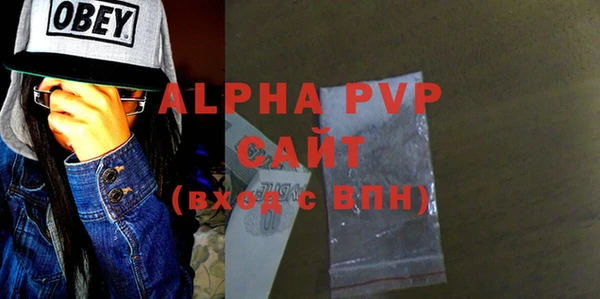 стаф Бородино