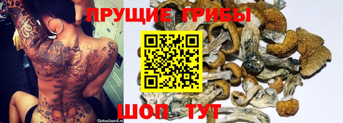 COCAIN Гулькевичи