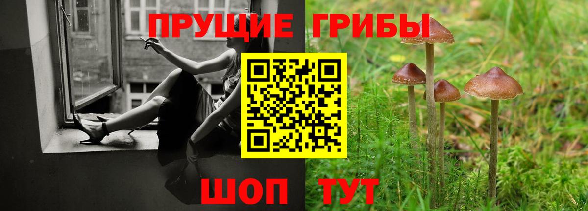 Галлюциногенные грибы Cubensis  Вход с VPN  Гулькевичи 